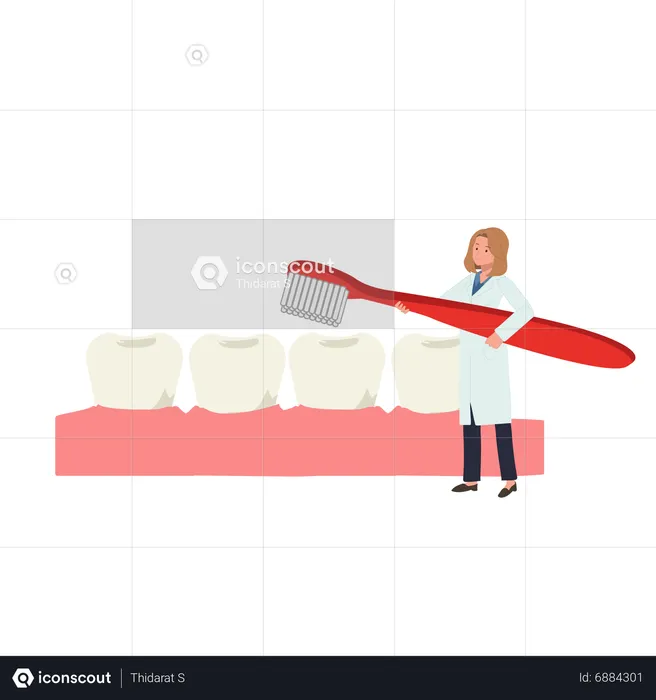 Female Dentist with toothbrush presenting  how to clean teeth  Illustration