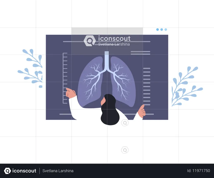 Female Doctor Check X Ray Scanning  Illustration