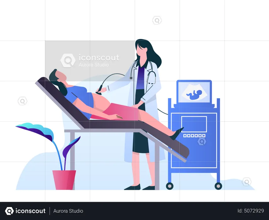 Female doctor doing ultrasound pregnancy procedure  Illustration