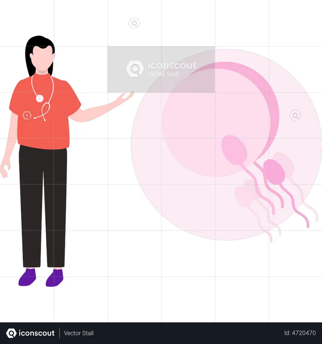 Female doctor is talking about sperm fertilization  Illustration