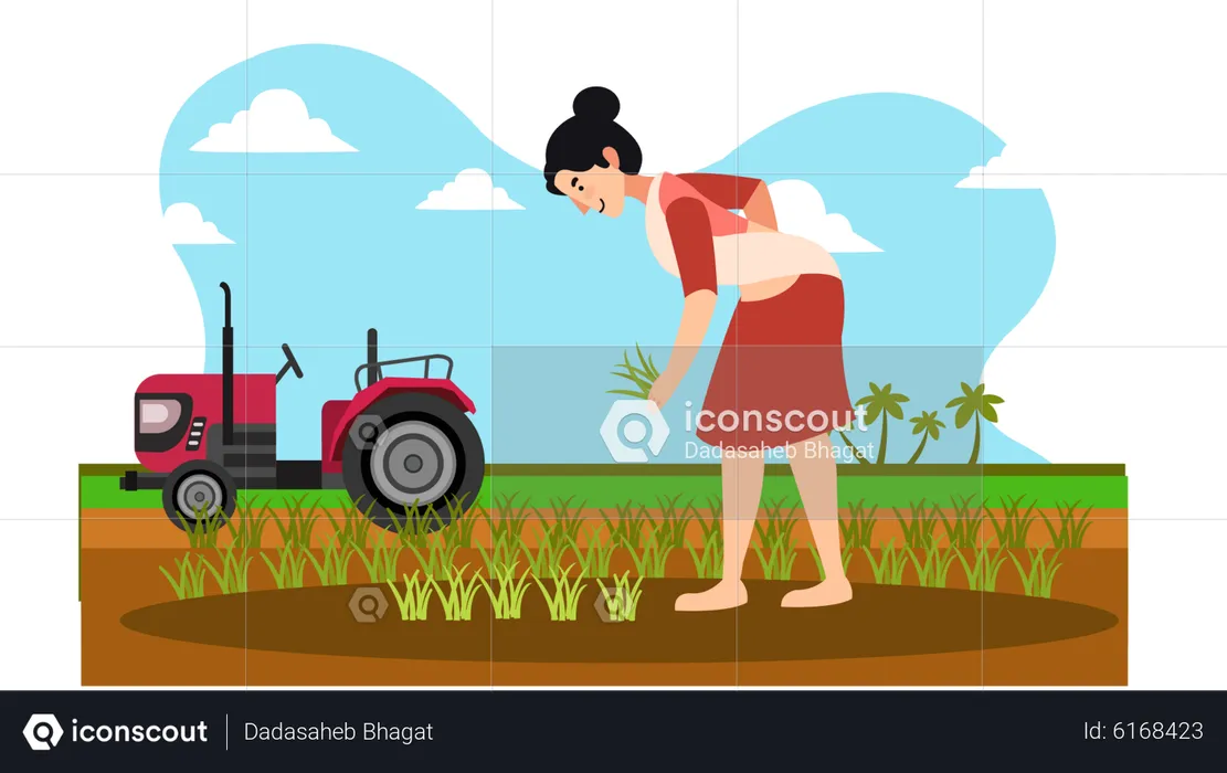Female farmer collecting crop  Illustration
