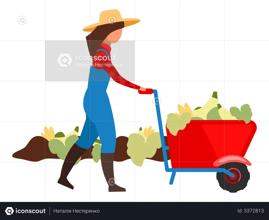 Female farmer harvesting crops  Illustration