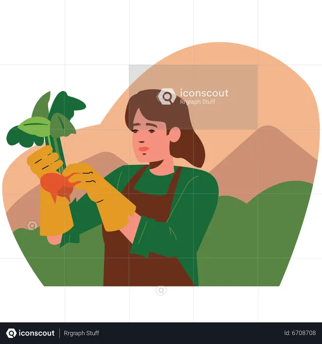 Female farmer harvesting fruit  Illustration