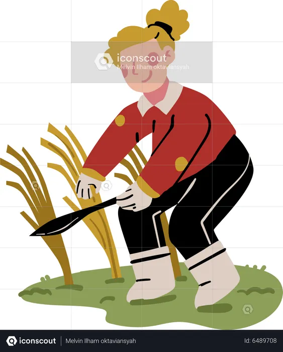 Female farmer Harvesting  Illustration