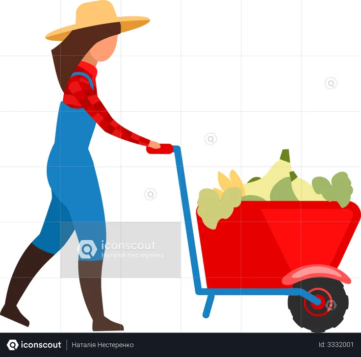 Female farmer transporting vegetables in wheelbarrow  Illustration