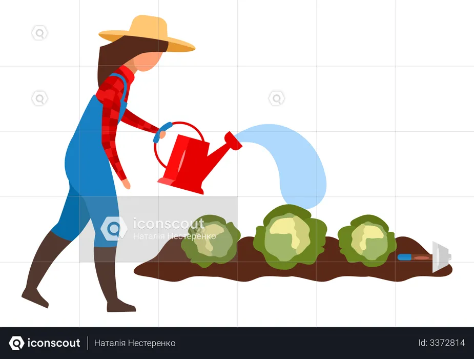 Female farmer watering crops  Illustration