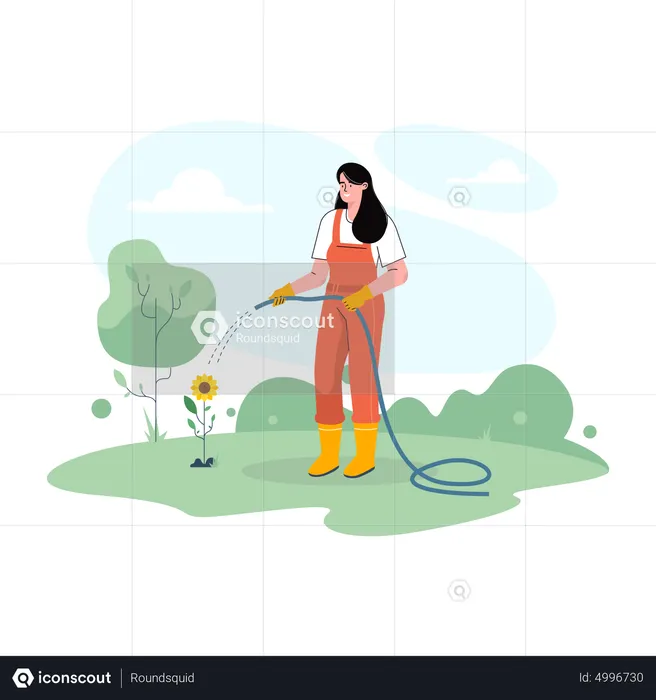 Female farmer watering sunflower plant  Illustration