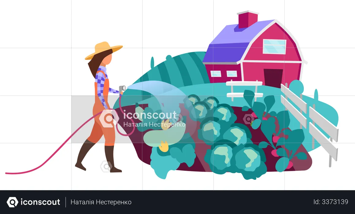 Female farmer watering vegetable garden  Illustration