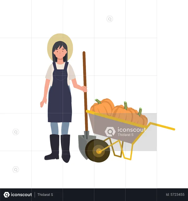 Female farmer with a cart of pumpkin  Illustration