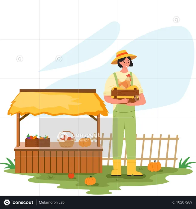 Female Farmer Yield Distribution  Illustration