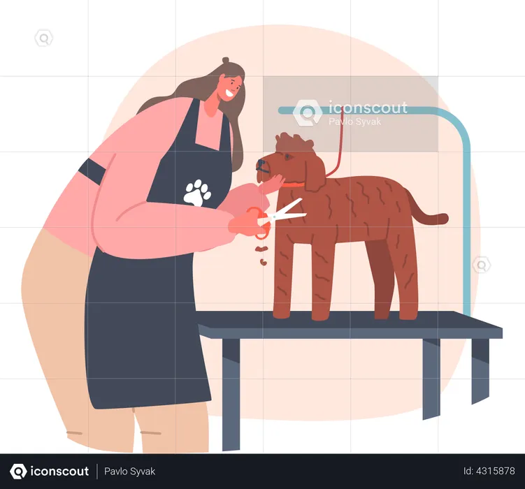 Female hairdresser cutting dog hairs  Illustration