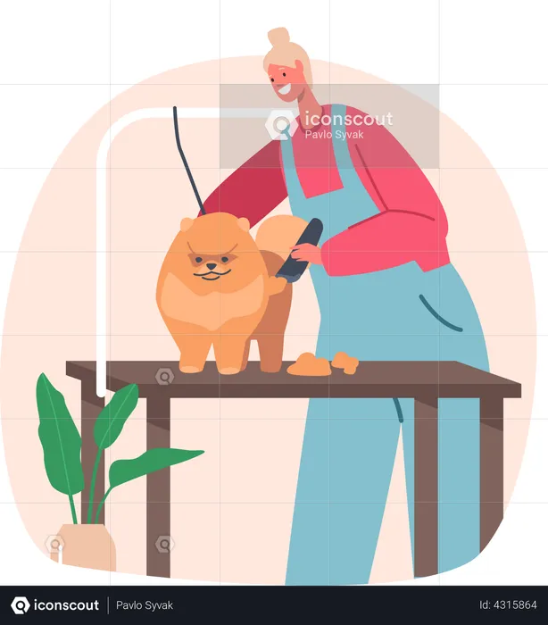 Female hairdresser trimming dog hairs  Illustration