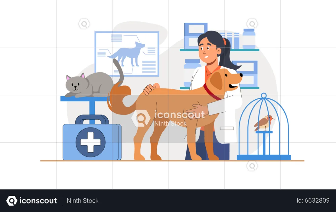 Female Pet Doctor  Illustration