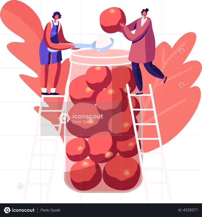Female Stand on Ladders Put Ripe Tomatoes and Salt into Glass Jar  Illustration