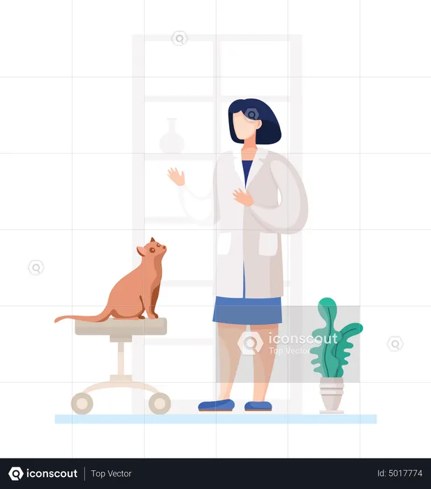 Female vet doctor checking pet cat  Illustration