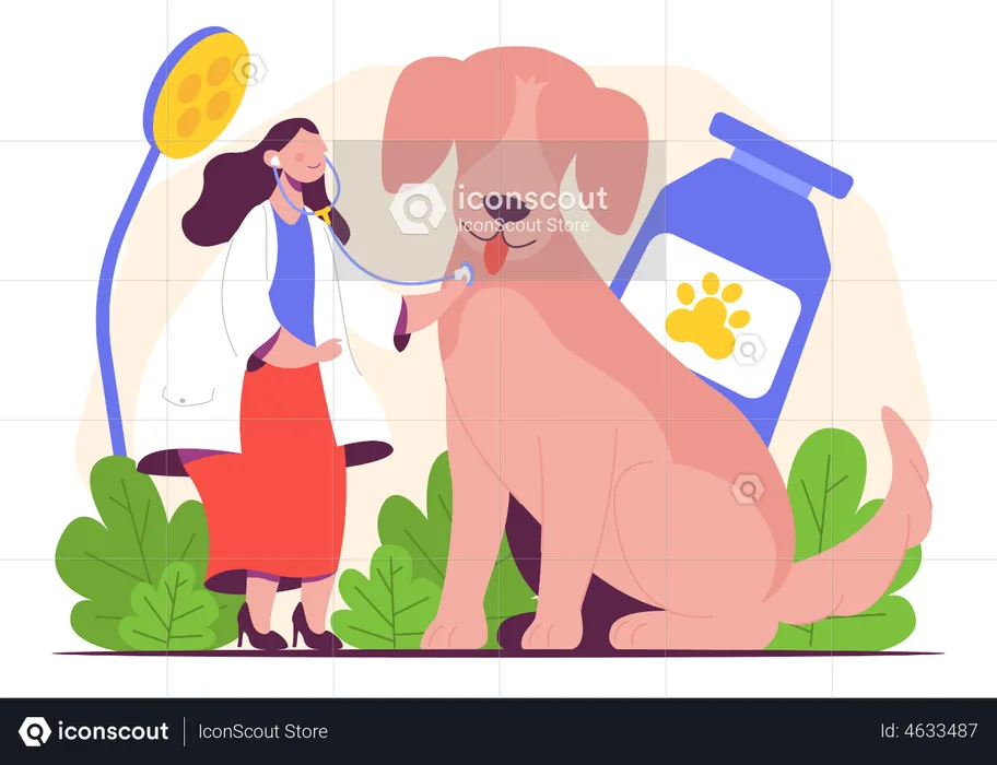 Female veterinarian  Illustration