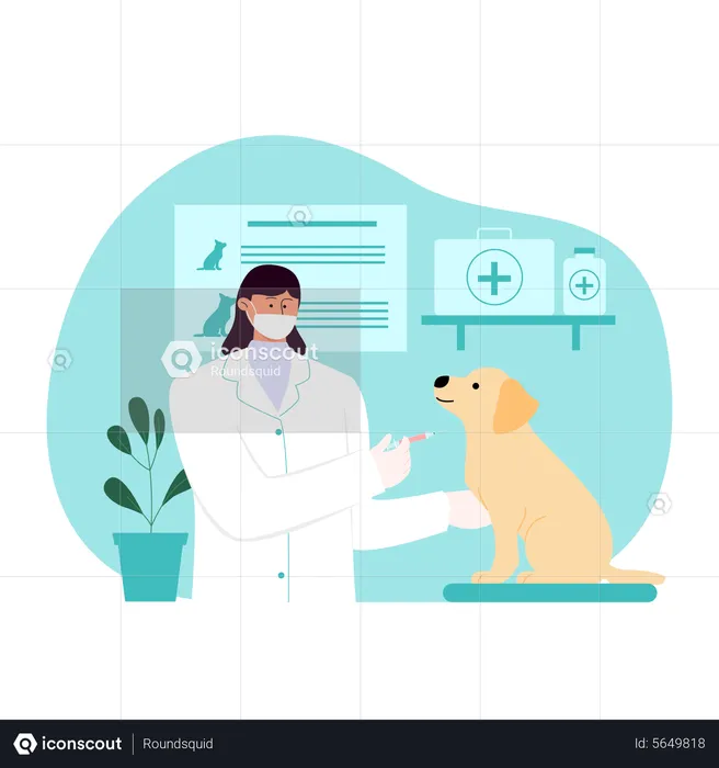 Female veterinary giving vaccine to dog  Illustration