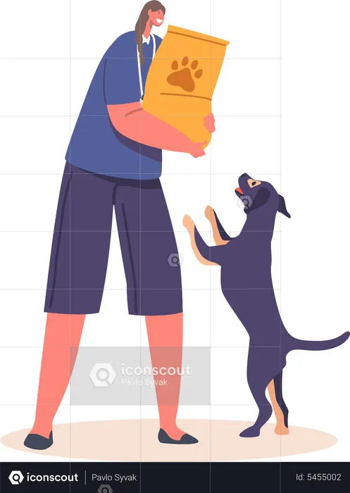 Female Volunteer Feeding Dogs In Animal Shelter  Illustration