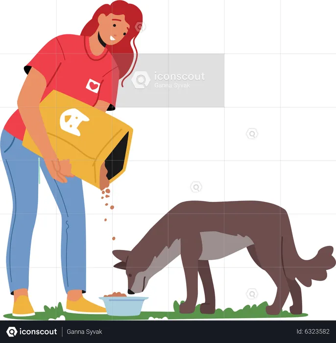 Female volunteer feeding food for homeless dog  Illustration