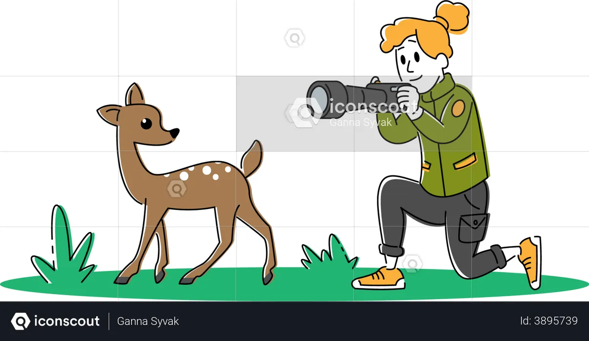 Female wildlife photographer clicking picture of a fawn  Illustration