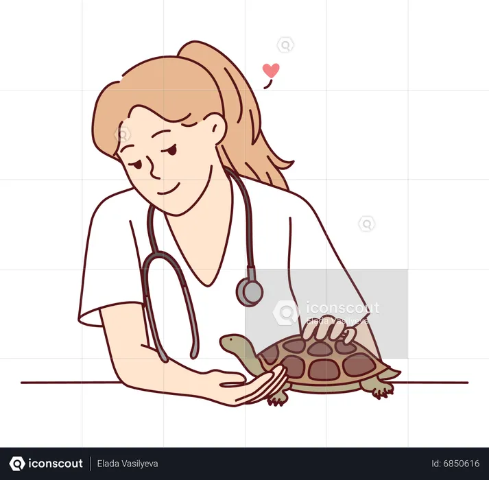 Veterinária feminina tratando tartaruga  Ilustração