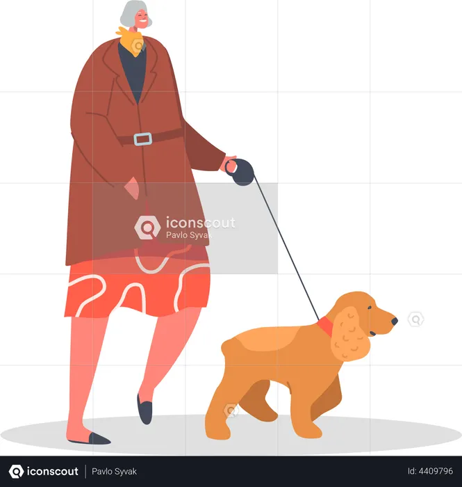 Femme âgée marchant avec un chien de compagnie  Illustration