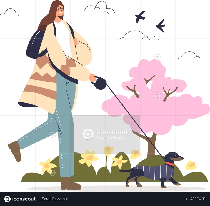 Femme qui marche avec un chien dans le parc  Illustration