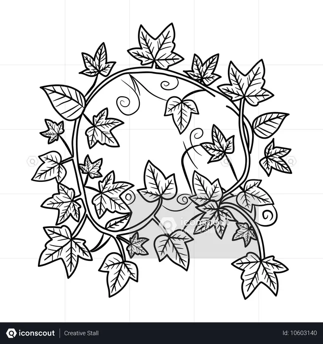 Feuilles de lierre  Illustration