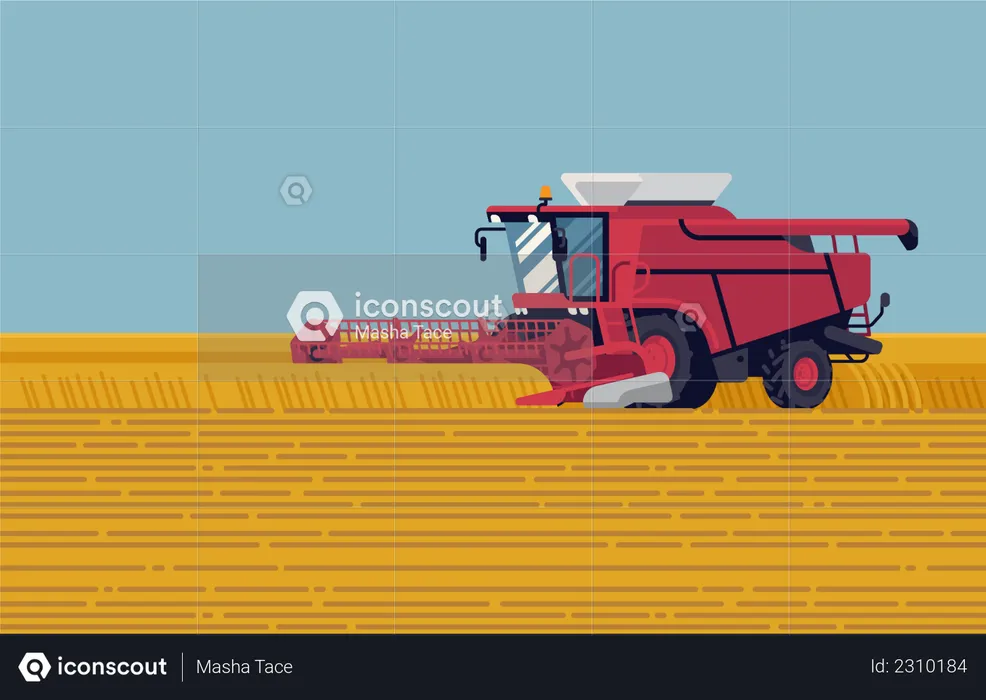 Field harvest with grain header combine harvester reaping crops  Illustration