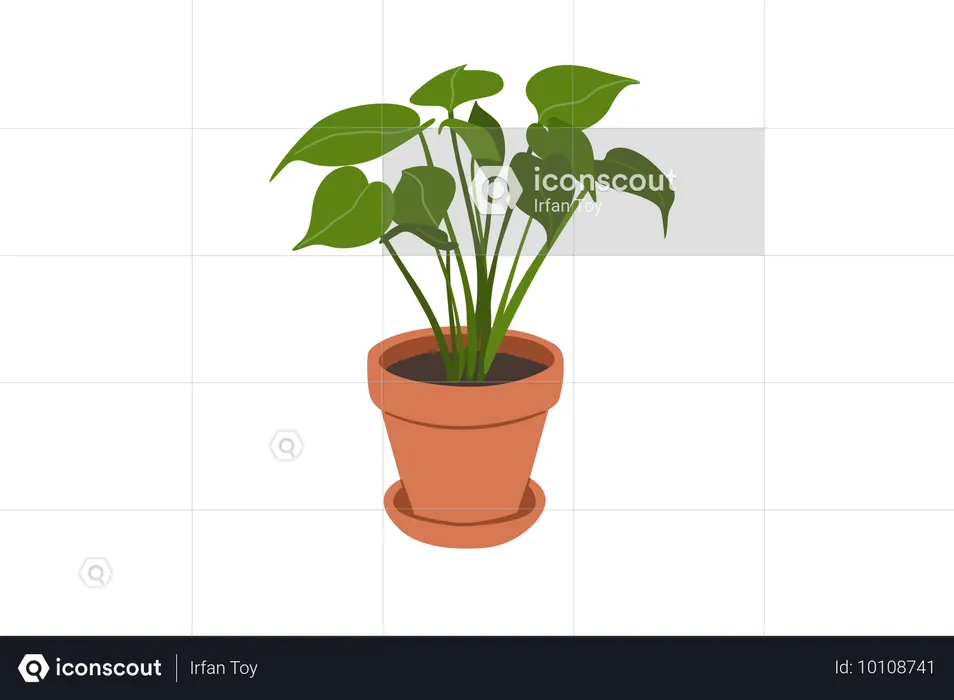 Filodendro monstera partido  Ilustración