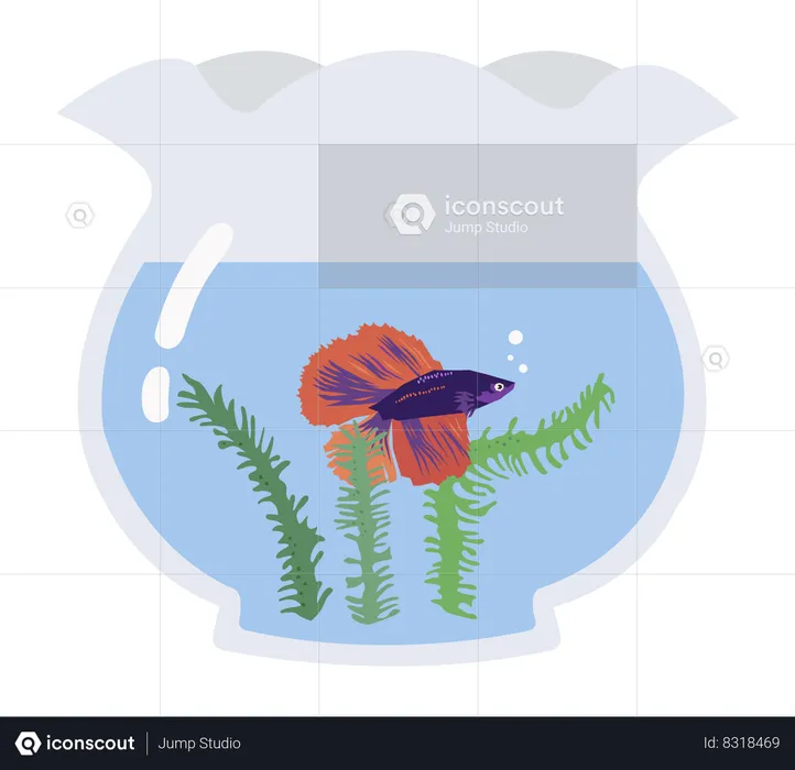 Fish Tank  Illustration