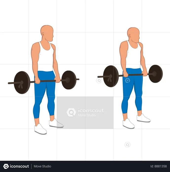 Fitness man doing bicep barbell  Illustration