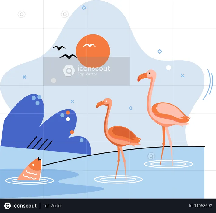 Flamants roses debout dans l'eau  Illustration