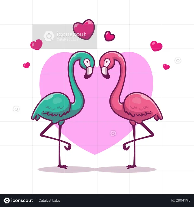 Flamingos  Illustration