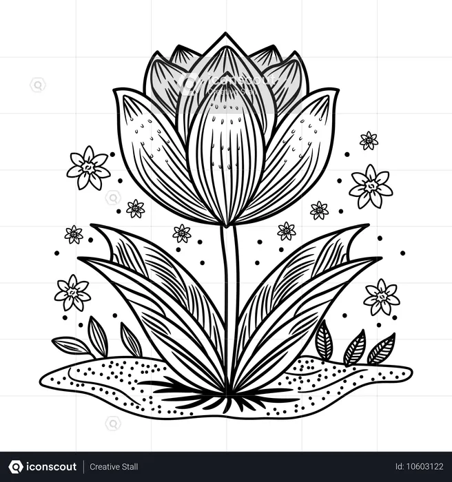 Fleur de tulipe  Illustration