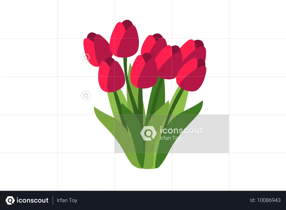 Fleur de tulipe rouge  Illustration