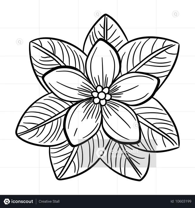 Fleurs  Illustration