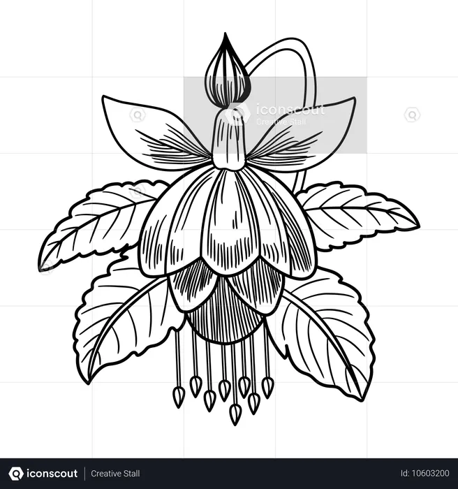 Flowers  Illustration