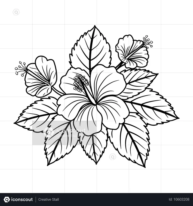 Flowers  Illustration