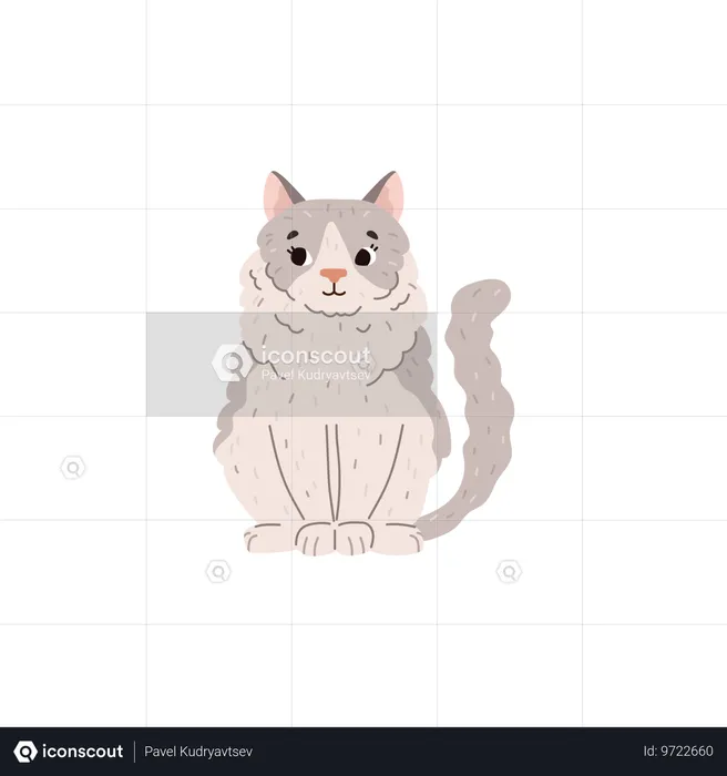 Fluffy ragdoll cat sitting  Illustration