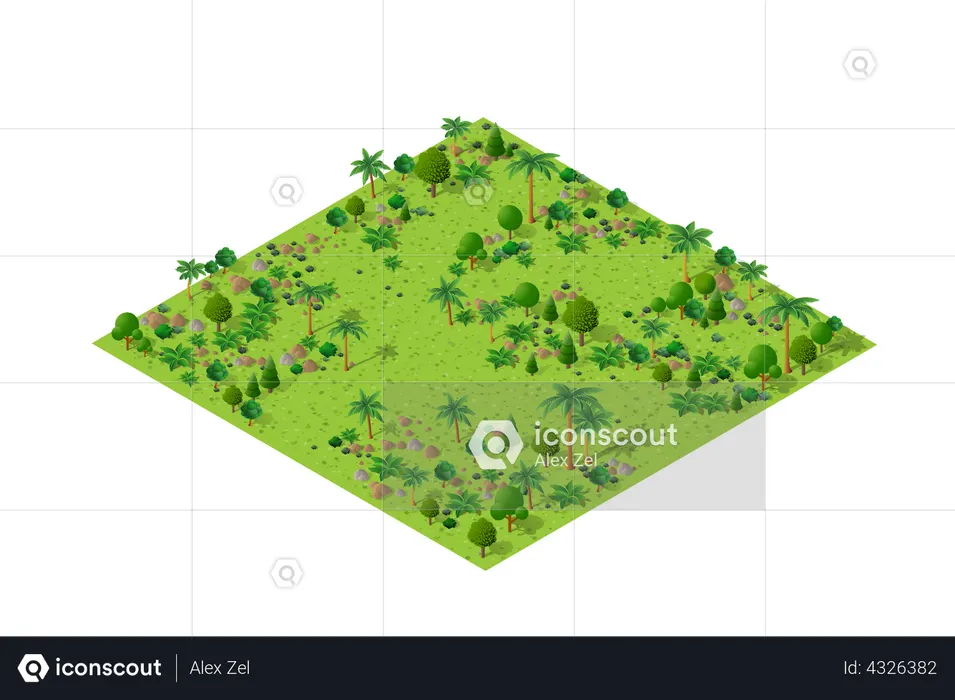 Forest  Illustration