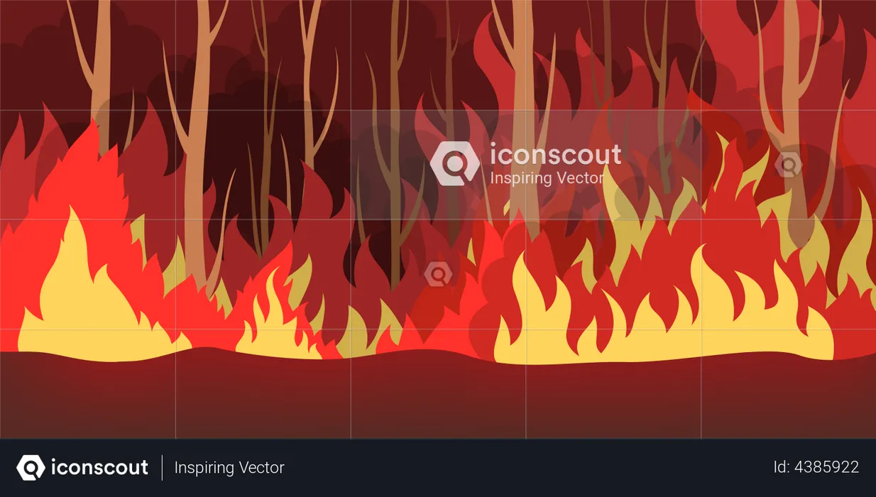 Forest wildfire  Illustration