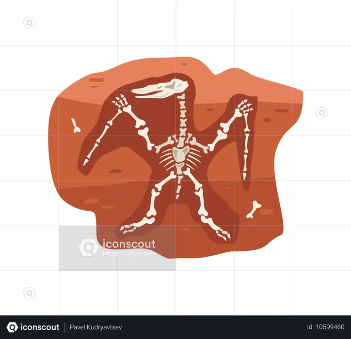 Fósil arqueológico con esqueleto de dinosaurio  Ilustración