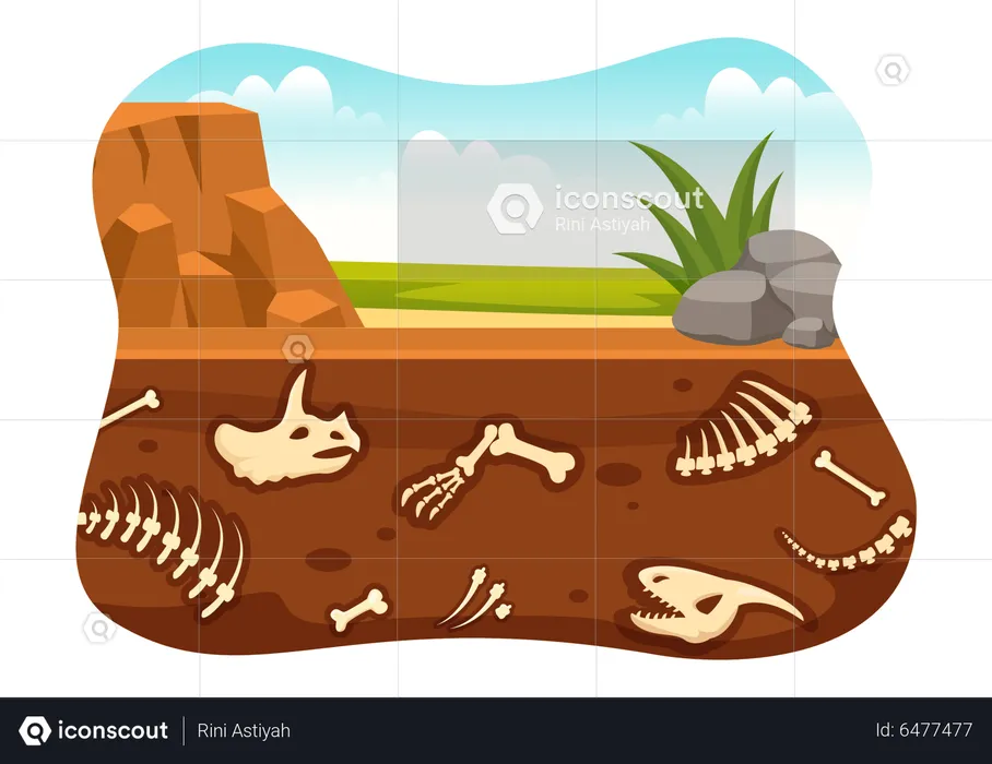 Fossil remains under sand bed  Illustration