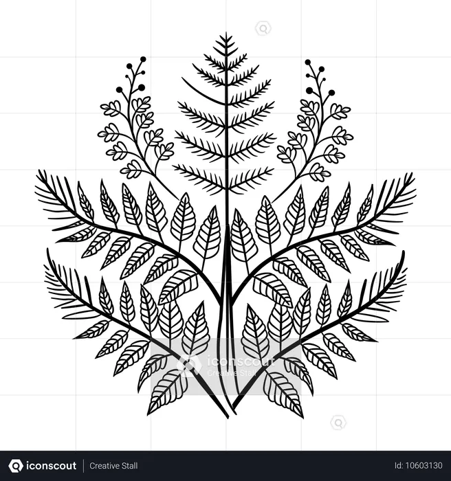 Feuilles de fougère  Illustration