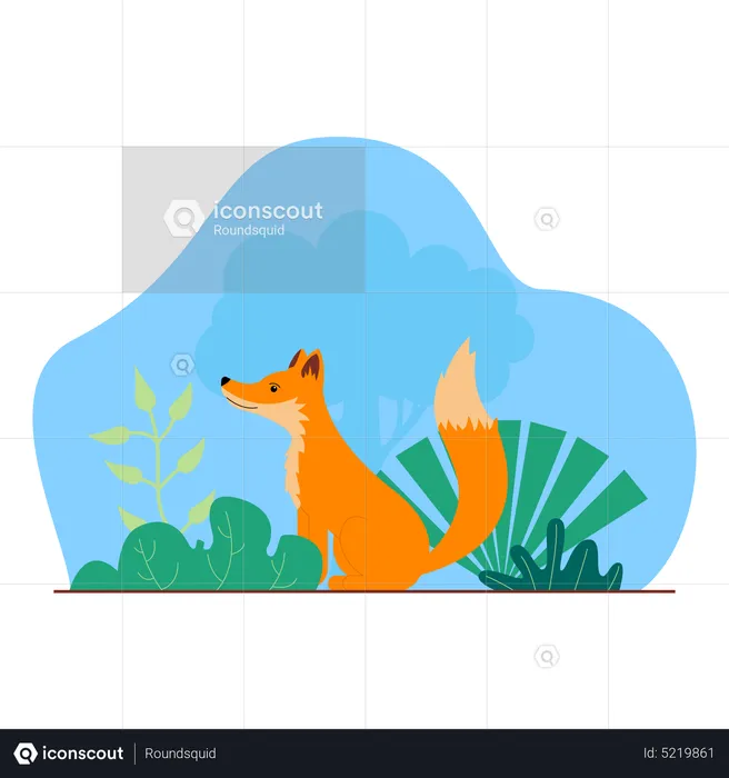 Fox  Illustration