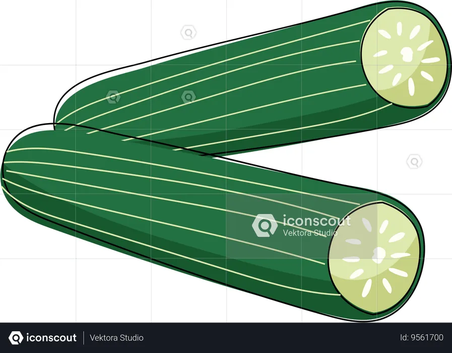 Fresh Sliced Cucumber  Illustration