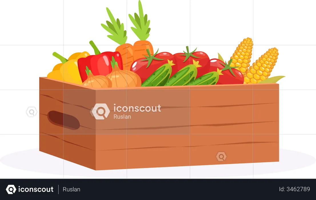 Fresh Vegetable Crate  Illustration