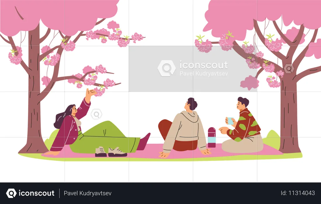 Friends having a picnic under the Sakura in a park  Illustration