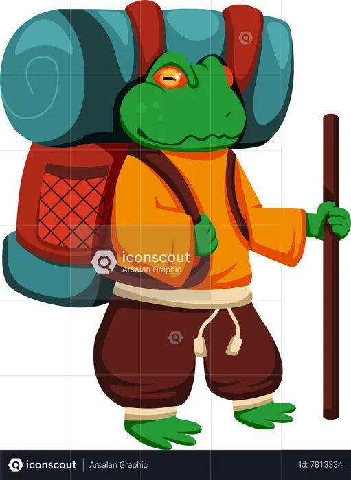 Frog Traveler  Illustration
